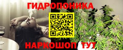 СК Старая Купавна
